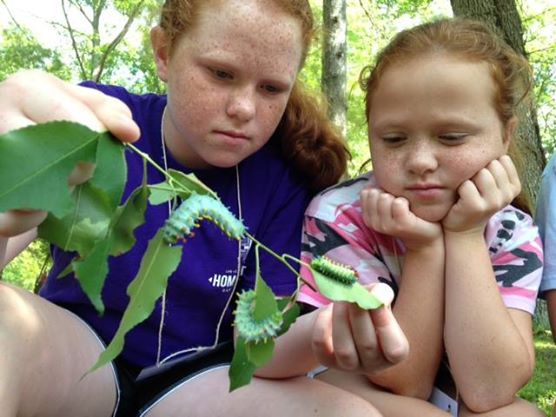 Junior Ranger - Cumberland Mountain State Park